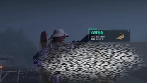 /uploadfile/2025/0318/20250318180410269.jpg