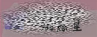 /uploadfile/2025/0319/20250319090929711.jpg