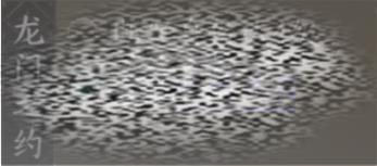 /uploadfile/2025/0330/20250330010418575.jpg