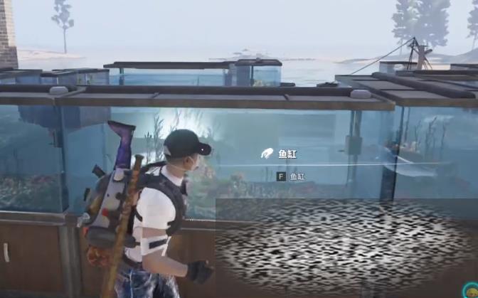 /uploadfile/2025/0518/20250518112102273.jpg
